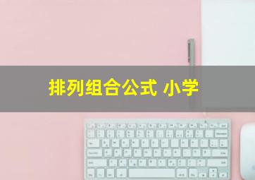 排列组合公式 小学